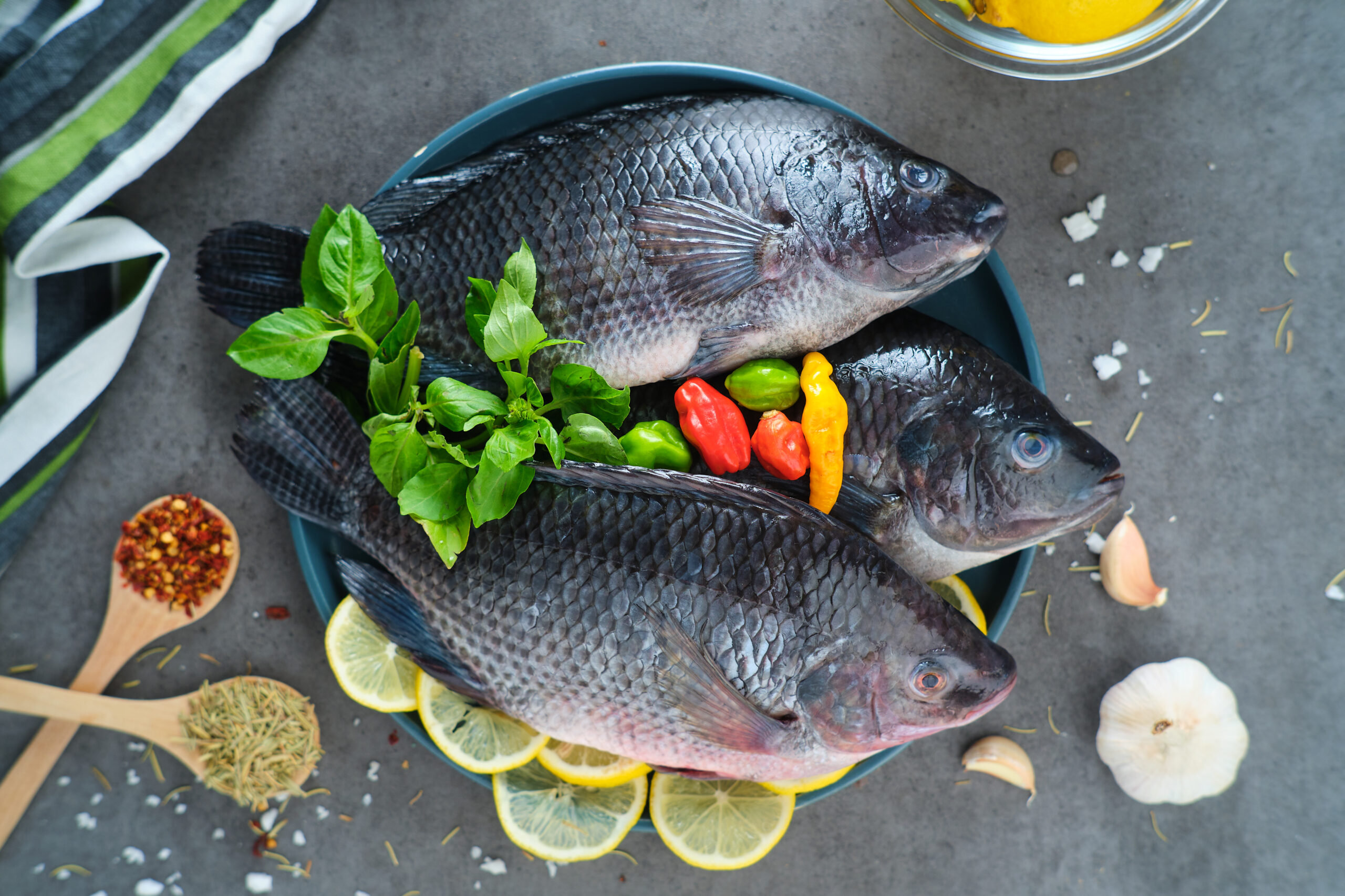 Volta Lake Aquaculture