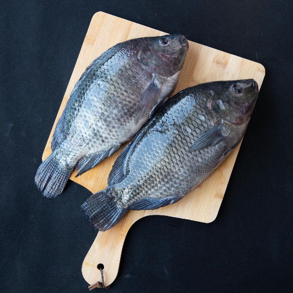 Small Bag Tilapia